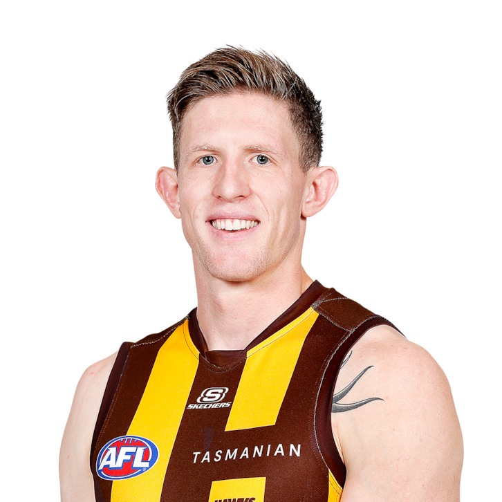 Hawthorn Hawks News AFL 2024 Zero Hanger